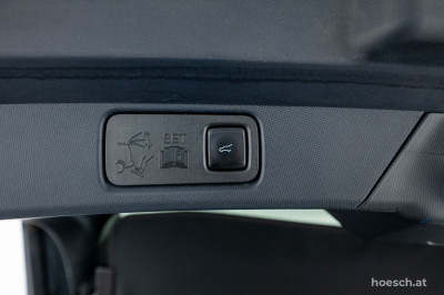 Ford Mustang Mach-E Gebrauchtwagen