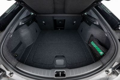 Polestar Polestar 2 Gebrauchtwagen