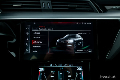 Audi e-tron Gebrauchtwagen