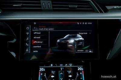Audi e-tron Gebrauchtwagen