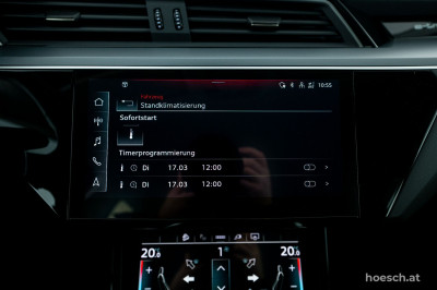 Audi e-tron Gebrauchtwagen