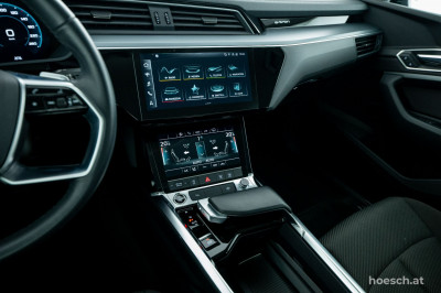 Audi e-tron Gebrauchtwagen