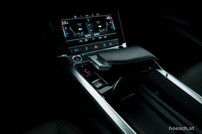 Audi e-tron Gebrauchtwagen