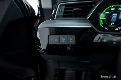 Audi e-tron Gebrauchtwagen