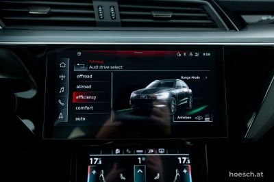 Audi e-tron Gebrauchtwagen