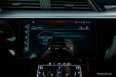 Audi e-tron Gebrauchtwagen