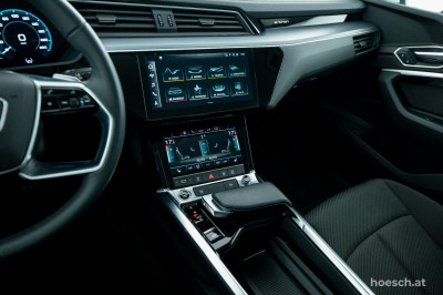 Audi e-tron Gebrauchtwagen