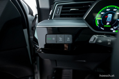 Audi e-tron Gebrauchtwagen