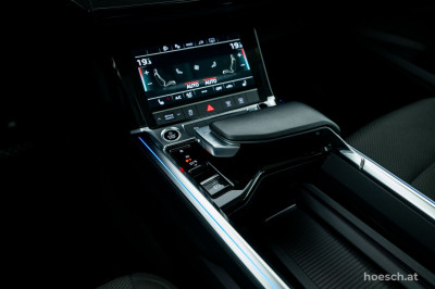 Audi e-tron Gebrauchtwagen