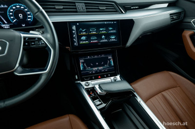 Audi e-tron Gebrauchtwagen