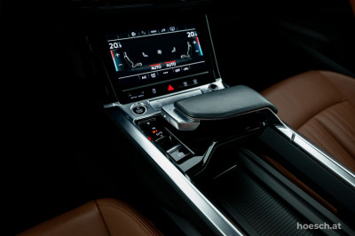 Audi e-tron Gebrauchtwagen