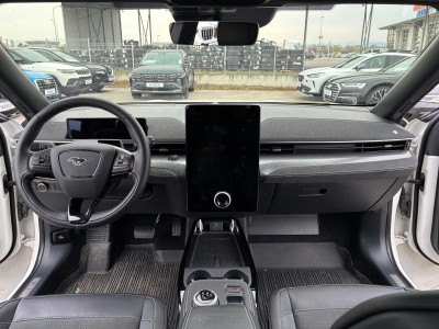 Ford Mustang Mach-E Gebrauchtwagen