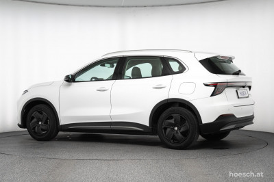 MG MGS5 EV Gebrauchtwagen