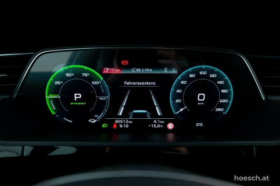 Audi Q8 e-tron Gebrauchtwagen