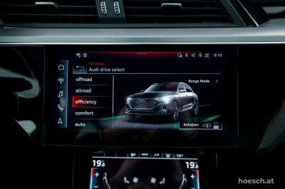Audi Q8 e-tron Gebrauchtwagen