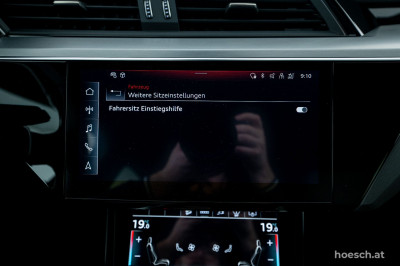 Audi Q8 e-tron Gebrauchtwagen