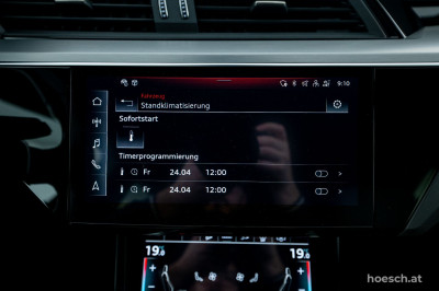Audi Q8 e-tron Gebrauchtwagen