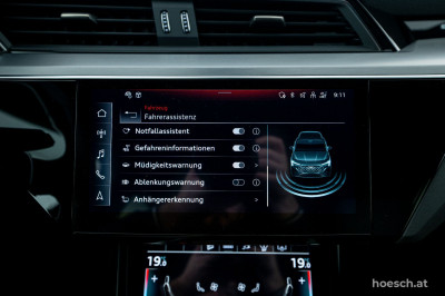 Audi Q8 e-tron Gebrauchtwagen