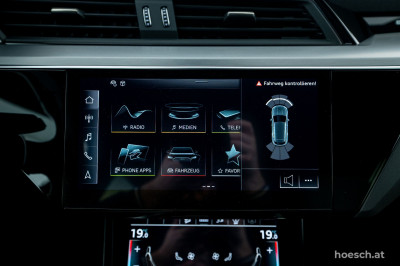 Audi Q8 e-tron Gebrauchtwagen