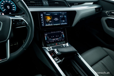 Audi Q8 e-tron Gebrauchtwagen