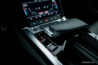 Audi Q8 e-tron Gebrauchtwagen