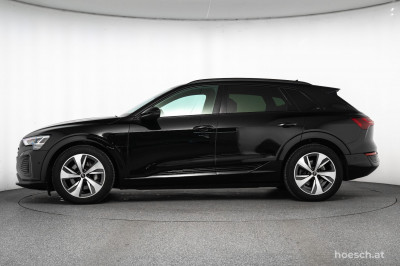 Audi Q8 e-tron Gebrauchtwagen