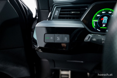 Audi Q8 e-tron Gebrauchtwagen