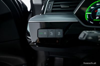 Audi e-tron Gebrauchtwagen