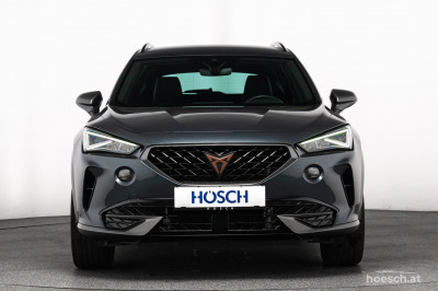 Cupra Formentor Gebrauchtwagen Cupra Formentor Gebrauchtwagen