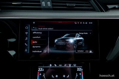 Audi Q8 e-tron Gebrauchtwagen