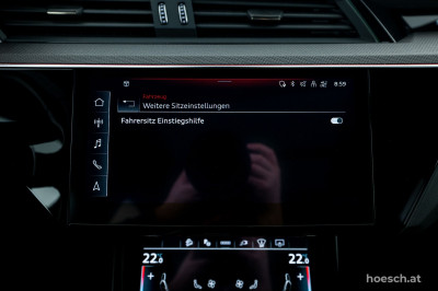 Audi Q8 e-tron Gebrauchtwagen