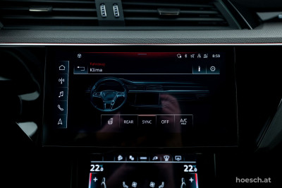 Audi Q8 e-tron Gebrauchtwagen