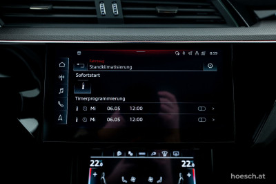 Audi Q8 e-tron Gebrauchtwagen
