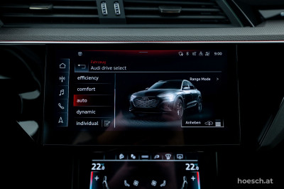Audi Q8 e-tron Gebrauchtwagen
