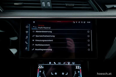 Audi Q8 e-tron Gebrauchtwagen