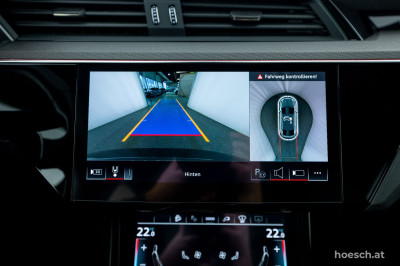 Audi Q8 e-tron Gebrauchtwagen