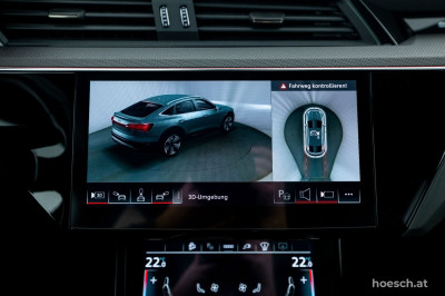 Audi Q8 e-tron Gebrauchtwagen