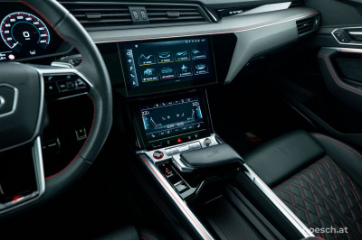 Audi Q8 e-tron Gebrauchtwagen