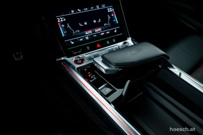 Audi Q8 e-tron Gebrauchtwagen