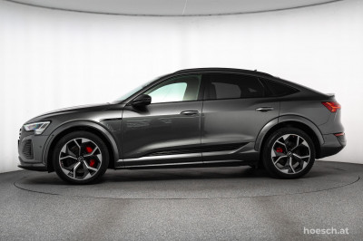 Audi Q8 e-tron Gebrauchtwagen