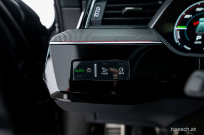 Audi Q8 e-tron Gebrauchtwagen