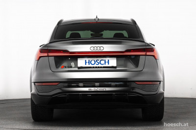 Audi Q8 e-tron Gebrauchtwagen