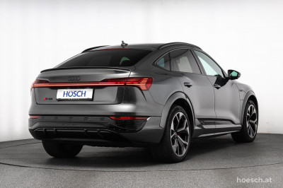 Audi Q8 e-tron Gebrauchtwagen