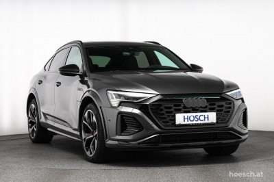 Audi Q8 e-tron Gebrauchtwagen