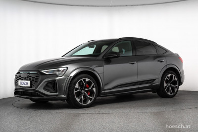 Audi Q8 e-tron Gebrauchtwagen