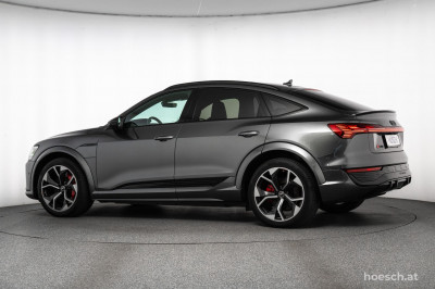Audi Q8 e-tron Gebrauchtwagen