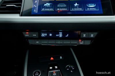Audi Q4 e-tron Gebrauchtwagen
