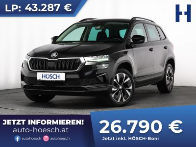 Skoda Karoq Gebrauchtwagen