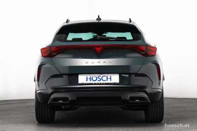 Cupra Formentor Gebrauchtwagen Cupra Formentor Gebrauchtwagen