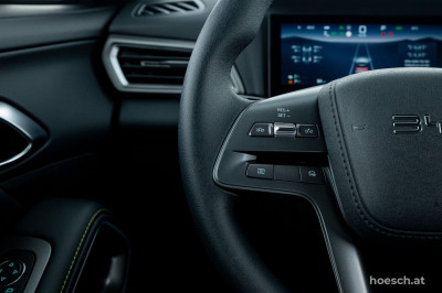 BYD Atto 2 Gebrauchtwagen